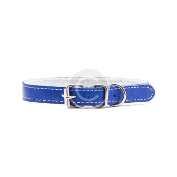 Blue Dog Collar
