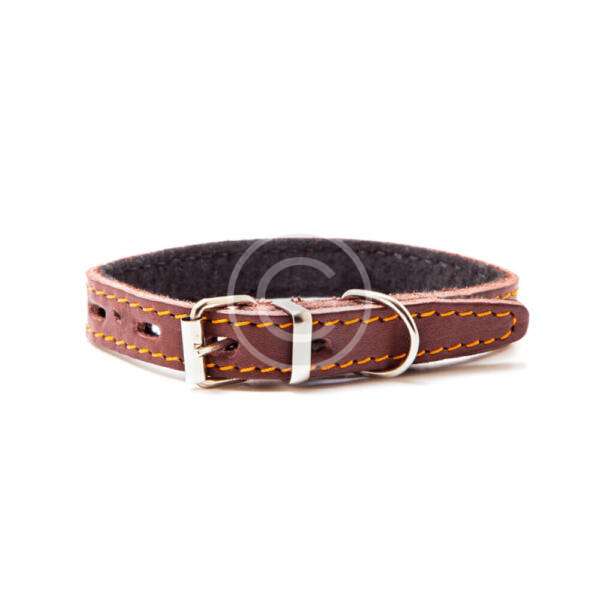Brown Dog Collar